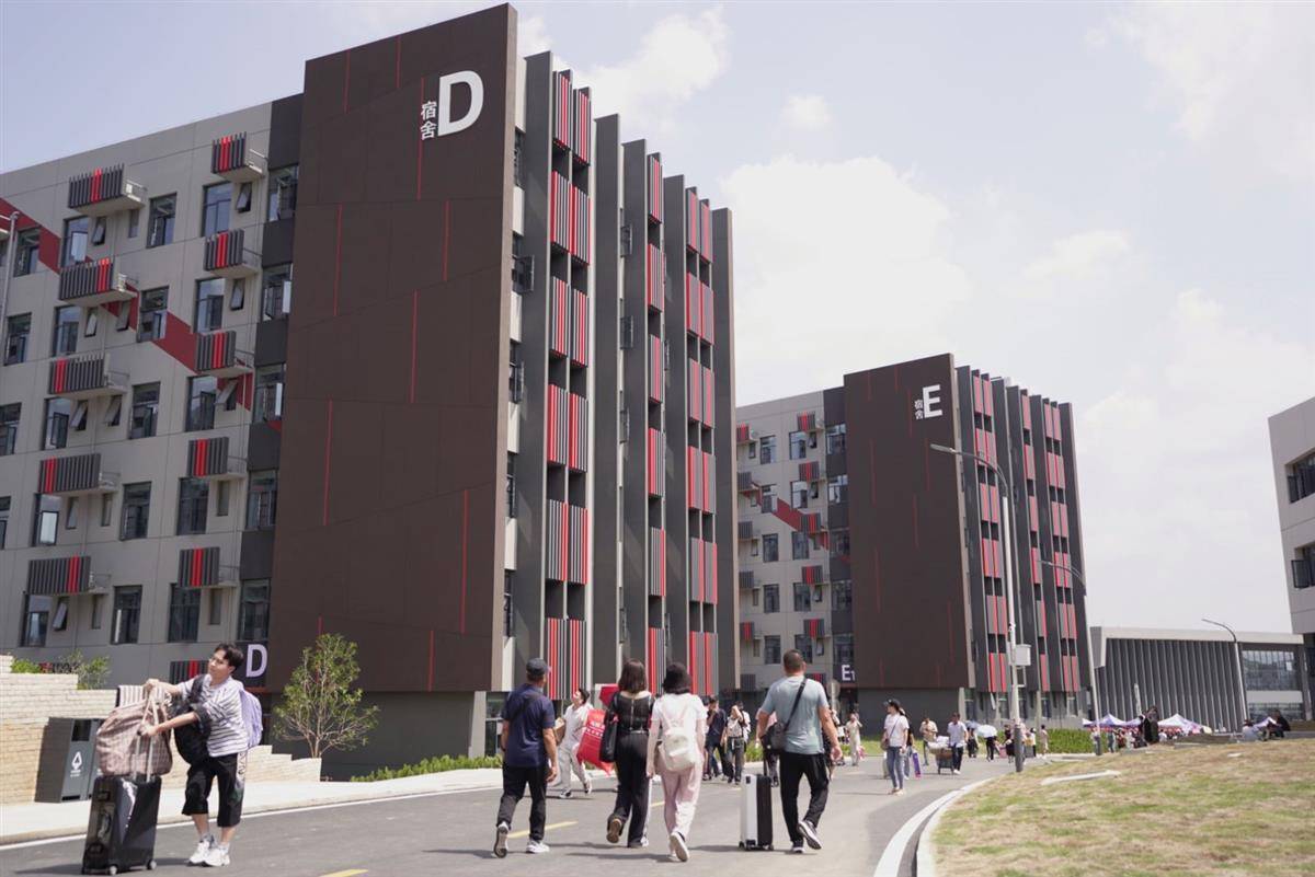 鱼丸游戏pc